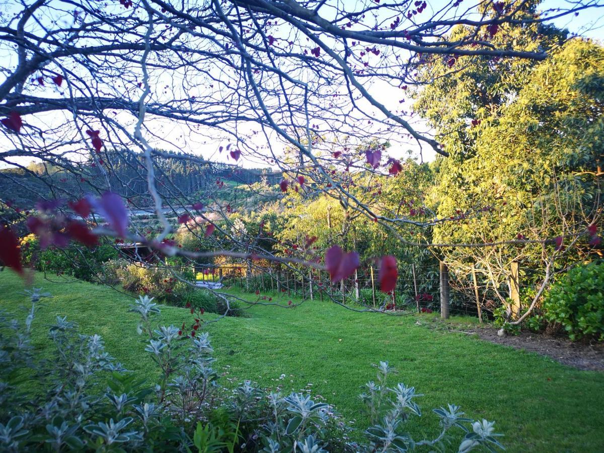 River Side Lodge Whakamarama Exterior photo